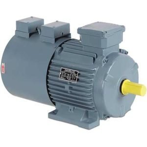 Havells 3 Phase Motor