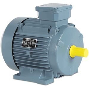 Havells Crane Duty motor