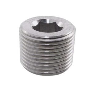 Socket Head Plug