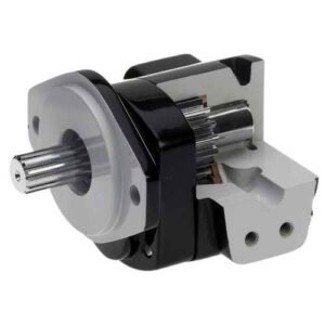 Supremo Cast Iron High Pressure Gear Pump